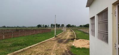 Project Images
