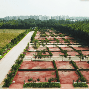 Project Image of 0.0 - 143547.51 Sq.ft Residential Plot Plot for buy in TGH Total Green Homes
