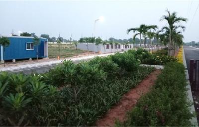 Project Image of 1332.36 - 2588.18 Sq.ft Residential Plot Plot for buy in Sterling Aster Meadows