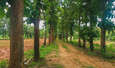 Project Image of 5445.0 - 10890.0 Sq.ft Residential Plot Plot for buy in Krushika Thusha Farms