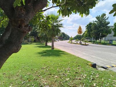 Project Image of 900.0 - 9000.0 Sq.ft Residential Plot Plot for buy in AMG Palm Garden