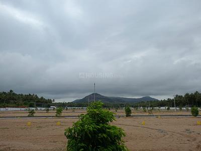 Project Image of 435.0 - 2656.0 Sq.ft Residential Plot Plot for buy in RR Oak Tree