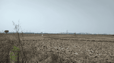 Project Image of 1000.0 - 10000.0 Sq.ft Residential Plot Plot for buy in Towncity Plots in Chirle