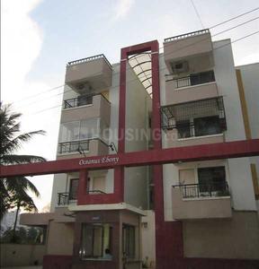 Oceanus Ebony Elevation 1