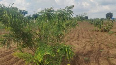 Project Image of 1620.0 - 3150.0 Sq.ft Residential Plot Plot for buy in Yugandhar RRR Riverside