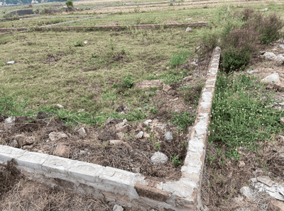 Project Images