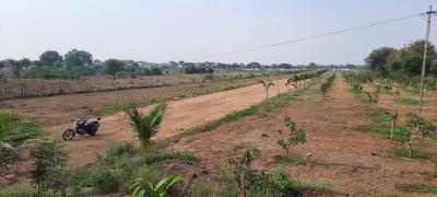 Project Image of 2178.0 - 43560.0 Sq.ft Residential Plot Plot for buy in Eagle Golden Valley
