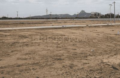 Project Images