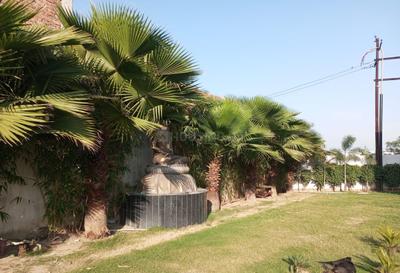 Project Image of 13737.23 - 69925.91 Sq.ft Residential Plot Plot for buy in Krishna Dwarkesh Grand Extension 1