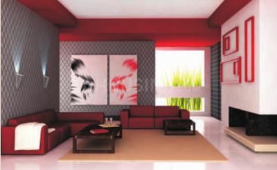 Project Images