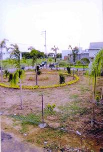 Project Images