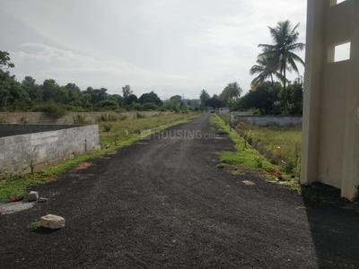 Project Image of 1200.0 - 2000.0 Sq.ft Residential Plot Plot for buy in Prutvi Sri Sai Royal Meadows