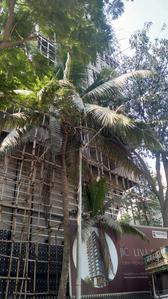Project Image of 1400 Sq.ft 3 BHK Apartment / Flat for sale in Vile Parle West for Rs. 70000000