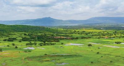 Project Image of 2812.29 - 5000.05 Sq.ft Residential Plot Plot for buy in Godrej Woodside Estate Phase 2