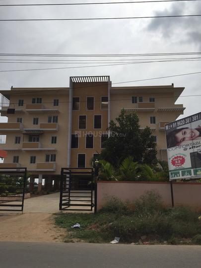 Gallery Cover Pic of MaxIndia Daffodils