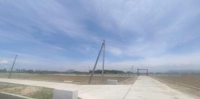 Project Image of 0.0 - 1800.0 Sq.ft Residential Plot Plot for buy in Dollars Colony 11