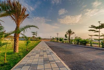 Project Image of 1200.0 - 5400.0 Sq.ft Residential Plot Plot for buy in SPA Eco City