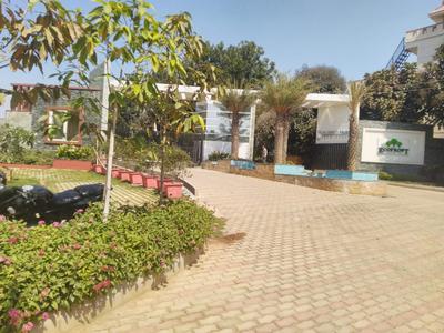Gallery Cover Pic of Celebrity Eco Front