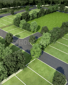 Project Images
