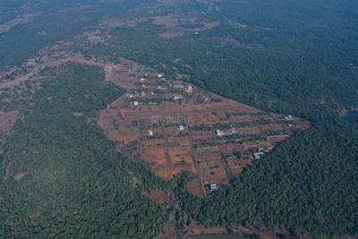 Project Image of 0.0 - 12000.0 Sq.ft Agricultural Land Agricultural Land for buy in Motiram Bag