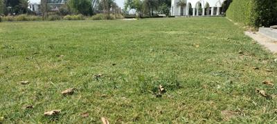 Project Image of 1000.0 - 3200.0 Sq.ft Residential Plot Plot for buy in Swastik Green Park
