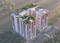 Sujay Global Elara Elevation 1