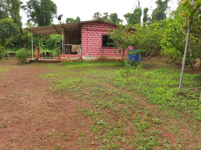 Project Image of 1000.0 - 10000.0 Sq.ft Residential Plot Plot for buy in Farm N Land Mangaon