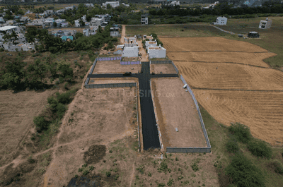 Project Images