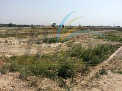 Project Image of 450.0 - 4050.0 Sq.ft Residential Plot Plot for buy in Royal Shape Prime View