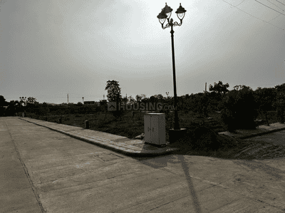 Project Images