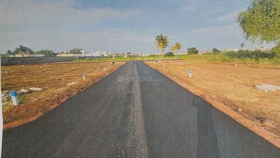 Project Images
