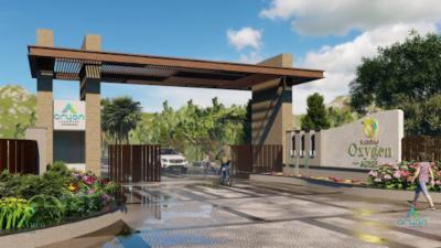 Project Images