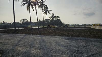 Project Image of 748.0 - 1319.0 Sq.ft Residential Plot Plot for buy in Dhilli Saranya Avenue