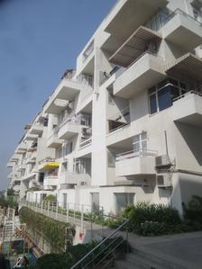 Project Image of 941.0 - 1168.0 Sq.ft 2 BHK Apartment for buy in Rohan Parijat 2