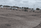 SSLF Sakthivel Nagar Plot 1