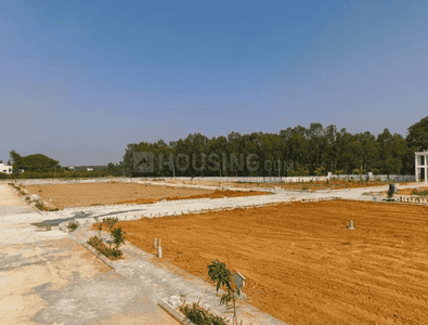 Project Image of 1127.11 - 2241.69 Sq.ft Residential Plot Plot for buy in Falcon Sun And Serenity