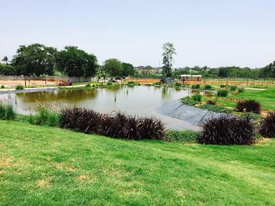 Project Image of 1153.0 - 5729.0 Sq.ft Residential Plot Plot for buy in Shriram Hamsadhwani