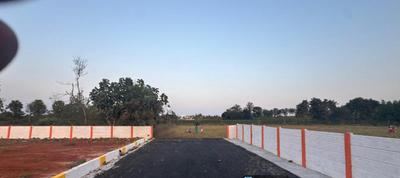 Project Images