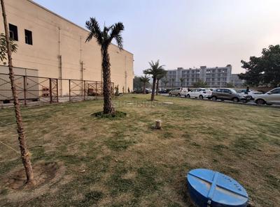 Project Image of 540.826 - 627.466 Sq.ft 2 BHK Apartment for buy in Signature Global Orchard Avenue 3