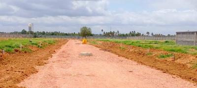 Project Image of 1200.0 - 1500.0 Sq.ft Residential Plot Plot for buy in Palm County