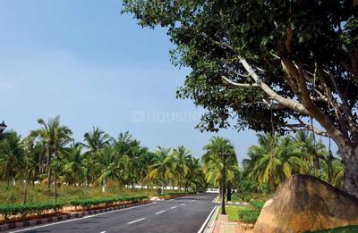 Project Image of 1013.0 - 1856.0 Sq.ft Residential Plot Plot for buy in Chartered Veda