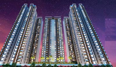 VTP Verve Elevation 2