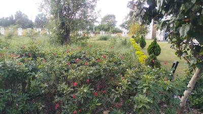 Project Image of 1102.0 - 1179.04 Sq.ft 2 BHK Apartment for buy in Tirumala 24 Carat