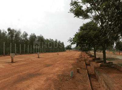 Project Images