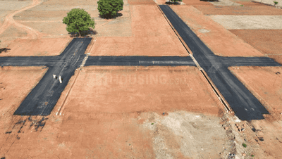 Project Images