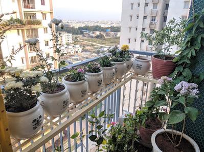 Project Image of 1006.0 - 1764.0 Sq.ft 2 BHK Apartment for buy in Yashoda Sannidhi