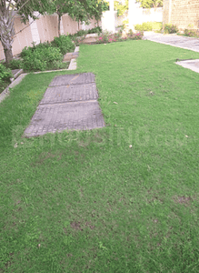 Project Images