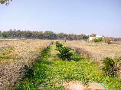 Shree Shyam Residency Green Plot 2