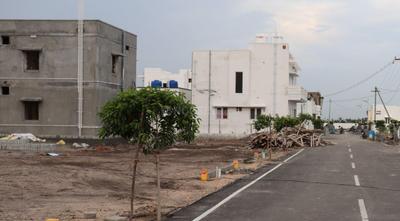 Project Image of 850.0 - 1200.0 Sq.ft Residential Plot Plot for buy in Zion Royal Avenue