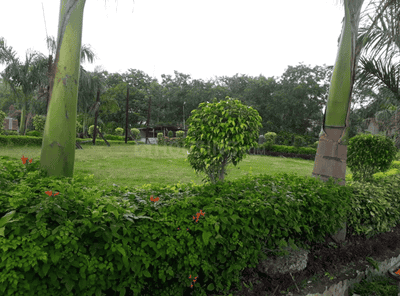 Project Image of 762.95 - 999.32 Sq.ft 2 BHK Apartment for buy in Paras Heights Phase II
